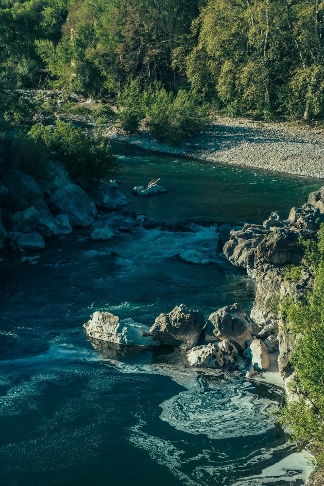 Retour aux sources - 6